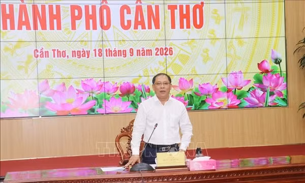 Cần Thơ chuẩn bị Festival Lúa gạo 2026