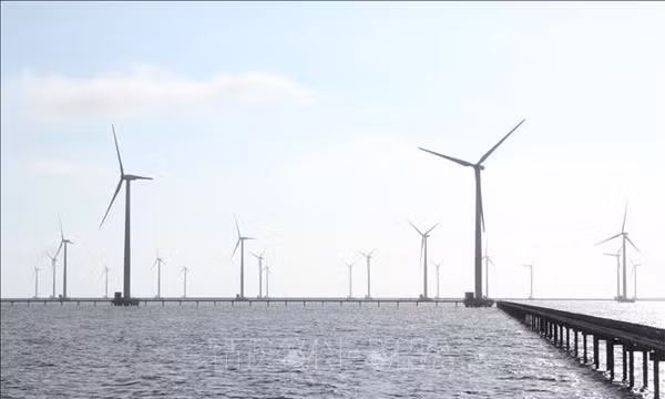 Gỡ vướng cho điện gió ngoài khơi