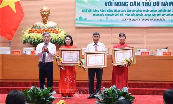 Phát triển nông nghiệp công nghệ cao, bảo đảm sinh kế cho nông dân