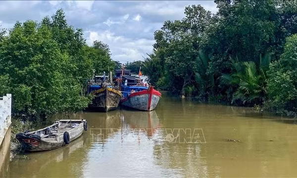 Siết quản lý đội tàu để hành trình vươn khơi đúng luật