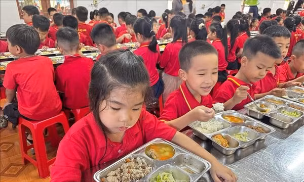 Giữ an toàn, đủ dinh dưỡng cho bữa ăn bán trú học đường