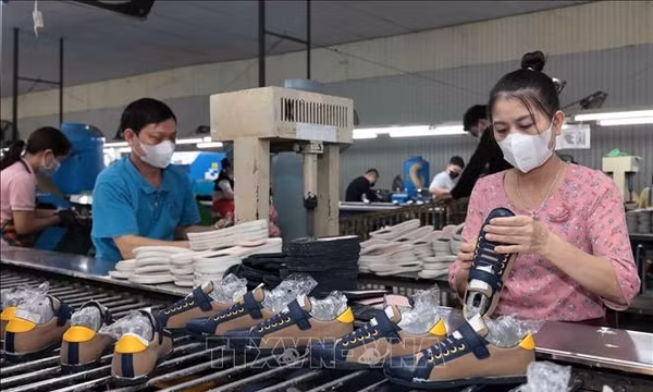 Hiệp định CPTPP mở rộng dư địa xuất khẩu cho doanh nghiệp Việt