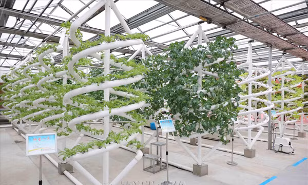 Kinh nghiệm số hóa nông nghiệp của Trung Quốc