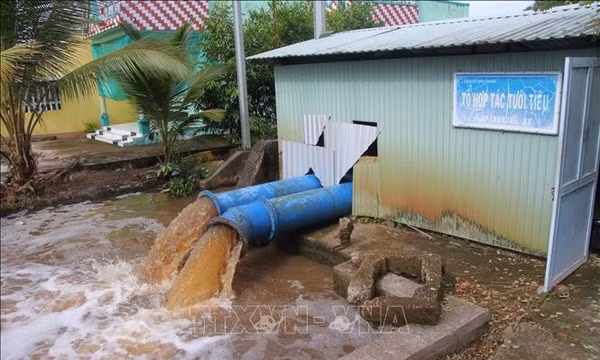Cà Mau khẩn trương bơm tiêu úng, khắc phục thiệt hại do mưa dông và triều cường