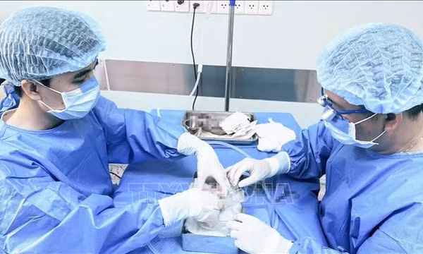Bệnh viện Trung ương Huế lập kỷ lục bảo quản thận ghép xuyên Việt trong 18 giờ