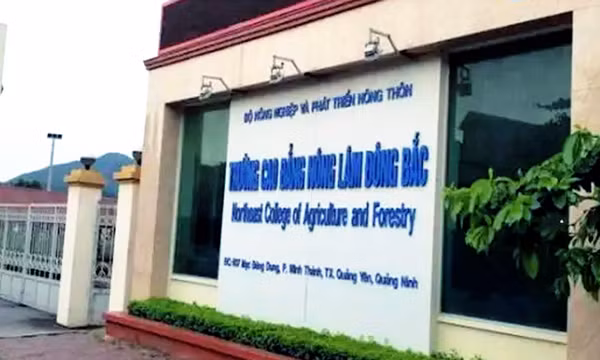 Chuyển giao Trường Cao đẳng Nông Lâm Đông Bắc về UBND thành phố Quảng Ninh