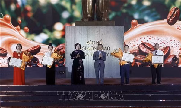 Sớm đưa hạt cà phê Arabica Sơn La vươn tầm thế giới