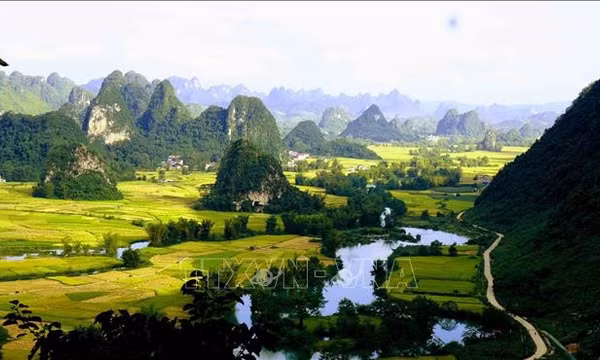 Sức hút từ điểm đến Ngọc Côn mùa vàng