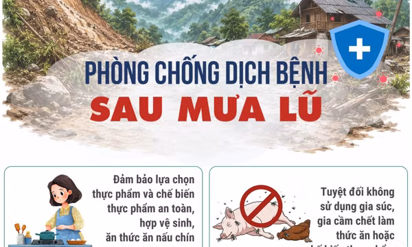 Những lưu ý phòng chống dịch bệnh sau mưa lũ