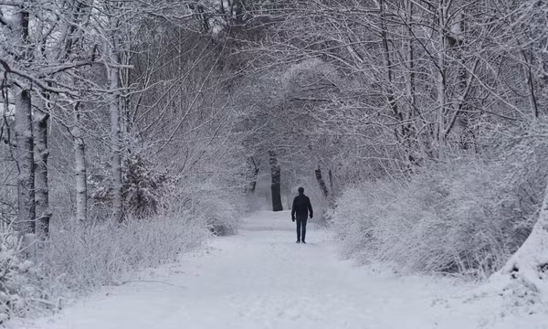 El Niño và nguy cơ rét đậm ở châu Âu
