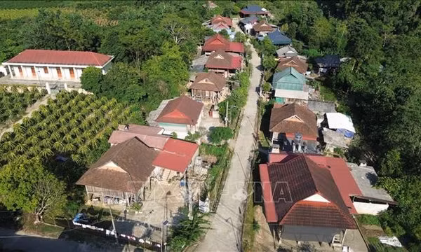Sức sống mới trên vùng đất tái định cư