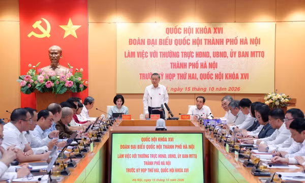 Bản tin ảnh chiều 15/10