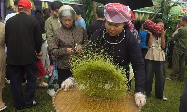 Lễ hội cốm Hợp Thành: Từ hạt cốm dẻo thơm đến nghi lễ ngàn đời
