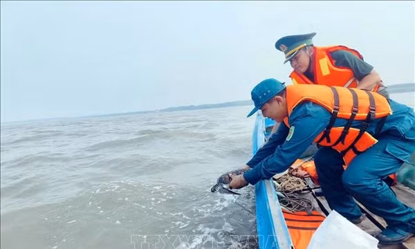 Chung tay bảo tồn đa dạng sinh học và nguồn lợi biển