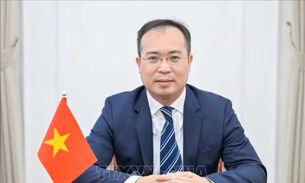 Tạo động lực để Việt Nam và Gruzia phát huy vai trò cầu nối