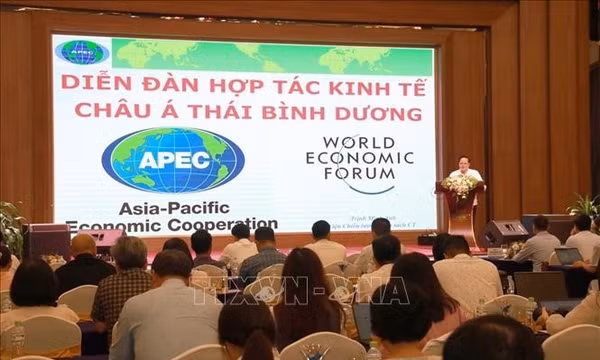 Trang bị hệ thống kiến thức chuẩn xác và có chiều sâu về APEC