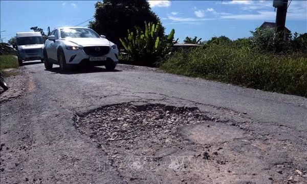 Sớm nâng cấp đê tả sông Hồng qua xã Thư Vũ (Hưng Yên)