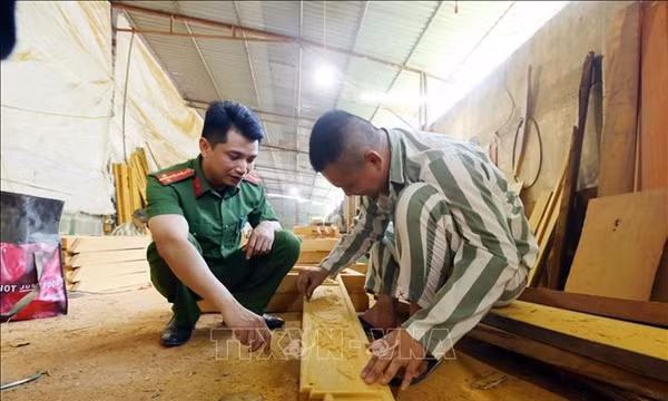 Quy trình, kỹ năng kiểm sát việc thi hành án phạt tù tại cơ sở giam giữ phạm nhân