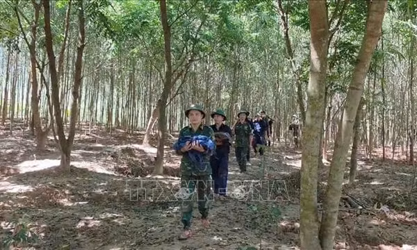 Chiến dịch 500 ngày đêm - Đất nước vẫn đi tìm các anh