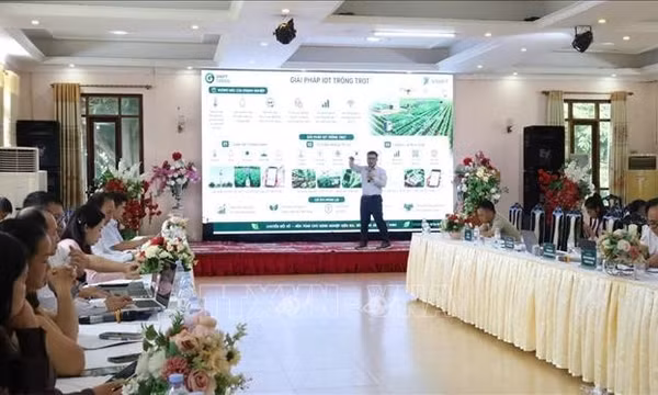 Chuyển đổi số thúc đẩy phát triển nông nghiệp miền núi
