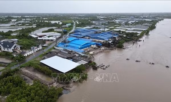 Cà Mau: Mưa lớn, lốc xoáy kéo dài gây thiệt hại diện rộng