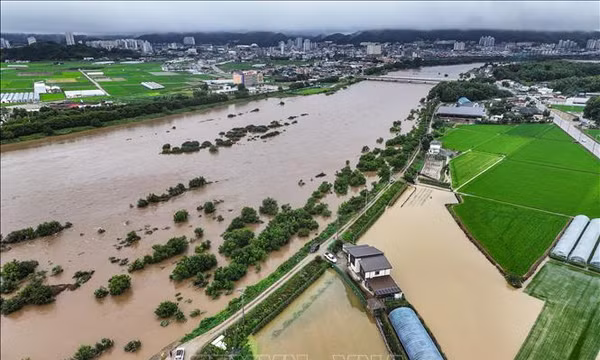 Tốc độ nước biển dâng nhanh, Hàn Quốc cảnh báo nguy cơ ngập lụt