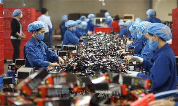 Không trả tiền phép năm chưa nghỉ, doanh nghiệp bị phạt đến 100 triệu đồng