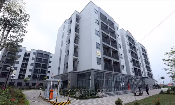 Xem xét tình hình phát triển nhà ở xã hội, nhà ở tái định cư