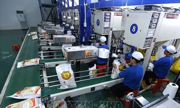 Quy định về kinh doanh xuất, nhập khẩu gạo