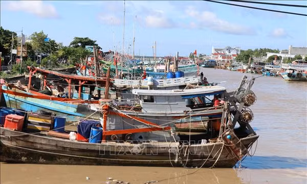 Quản lý đội tàu, kiểm soát chặt hoạt động khai thác thủy sản
