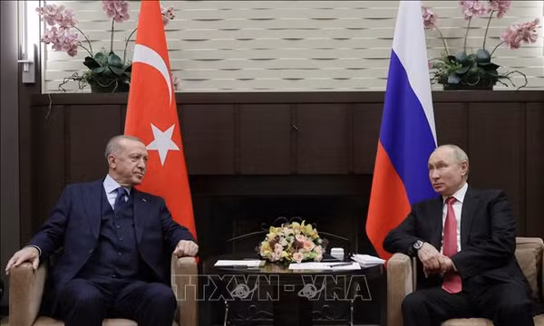 Tổng thống Nga Vladimir Putin (phải) và Tổng thống Thổ Nhĩ Kỳ Recep Tayyip Erdogan tại cuộc gặp ở Sochi, Nga. Ảnh tư liệu: AFP/TTXVN (Không được sử dụng, chia sẻ bởi bên thứ ba)