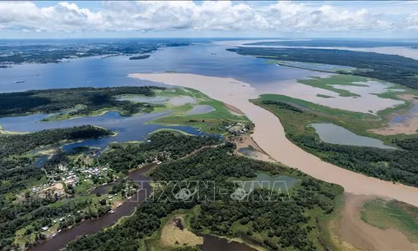 Sông Amazon tại Manaus, bang Amazonas, Brazil. Ảnh tư liệu: THX/TTXVN