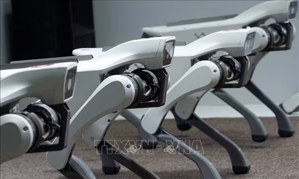 Cách Trung Quốc sử dụng chó robot, AI để bảo đảm an toàn nhà máy điện hạt nhân