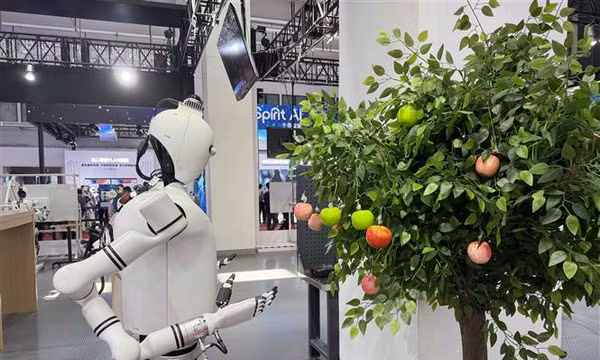 6G và thế hệ robot tự hành: Khi kết nối trở thành năng lực công nghệ mới