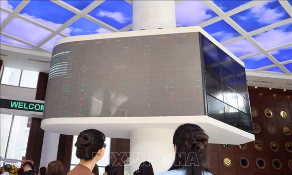 Cảnh báo tình trạng giả mạo giấy phép, hợp đồng để lừa đảo nhà đầu tư