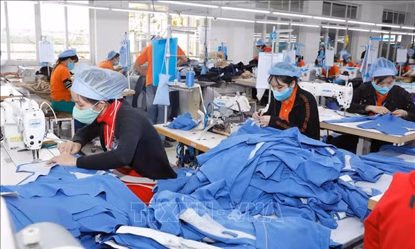 Tái cấu trúc nguồn cung đáp ứng xuất xứ hàng hóa, tăng sức chống chịu