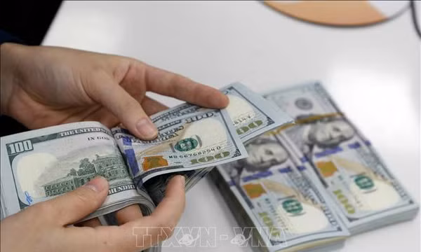 Tỷ giá ngày 15/9: Xu hướng tăng rõ rệt với cả USD, NDT