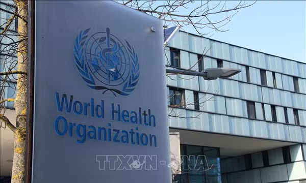 Virus Hanta: WHO và CDC đánh giá nguy cơ lây lan ra cộng đồng ở mức thấp