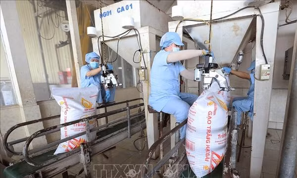 Chính phủ ban hành Nghị định về kinh doanh xuất, nhập khẩu gạo