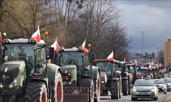 Tổng thống Ukraine mời lãnh đạo Ba Lan đến biên giới để giải quyết vấn đề nông sản