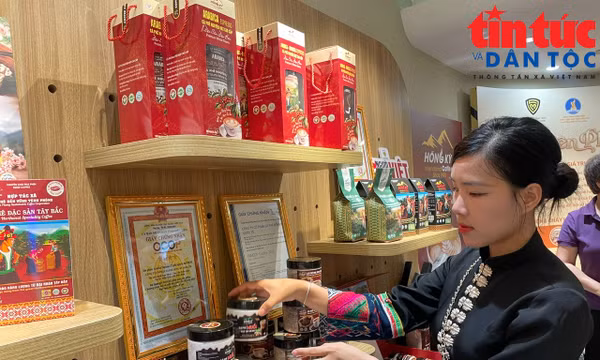Đưa đặc sản Điện Biên đến người tiêu dùng Thủ đô qua 'Sức sống hàng Việt'
