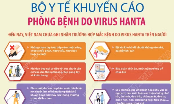 Giám sát chặt chẽ sức khỏe hành khách nhập cảnh để phòng bệnh do virus Hanta