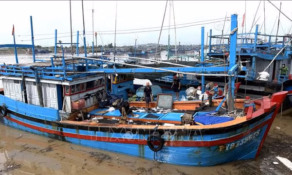 Ngư dân vươn khơi bám biển, quyết tâm chống khai thác IUU