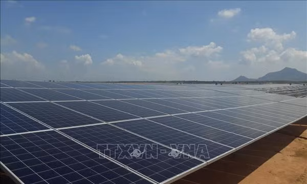 Cà Mau đầu tư dự án nhà máy điện mặt trời hơn 800 tỷ đồng