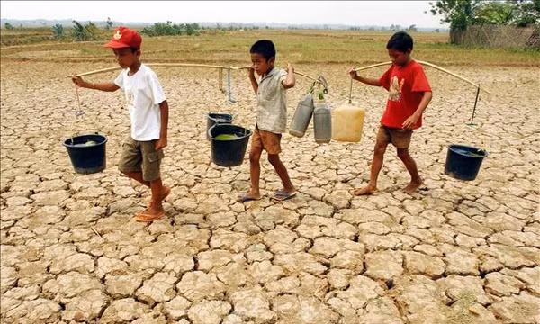 Indonesia quản lý nguồn nước sản xuất lúa gạo trước nguy cơ El Nino