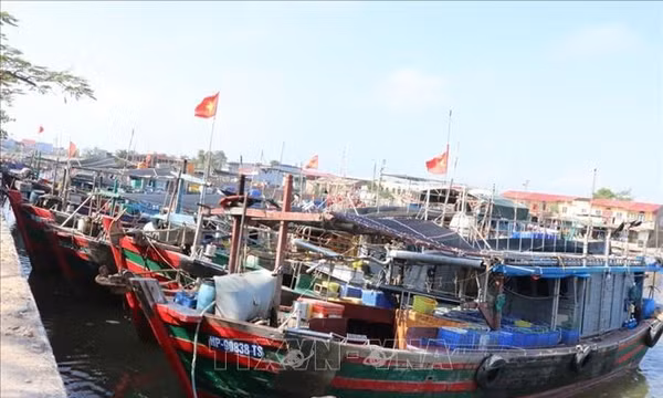 Khắc phục 'thẻ vàng' IUU: Hải Phòng chuẩn hóa 100% dữ liệu tàu cá