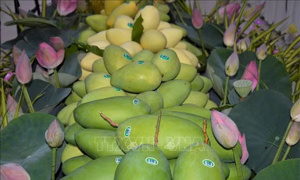 Hộ chiếu cho nông sản Việt