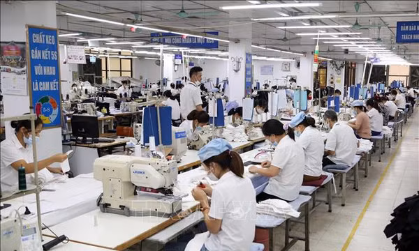 Lực đẩy công nghệ số trong hành trình xanh hóa doanh nghiệp