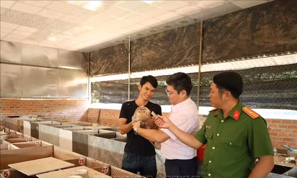 Vốn chính sách tiếp sức người hoàn lương vươn lên làm kinh tế