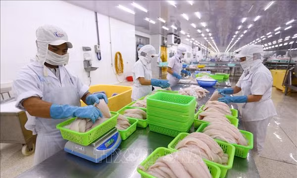 Cần Thơ đưa kinh tế số trở thành động lực tăng trưởng